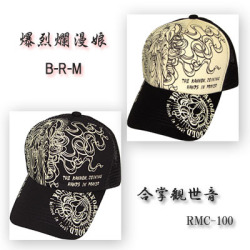 �����̡̼��B-R-M�ֹۡ羸�������ץ�å��奭��å�/���֡�RMC-100